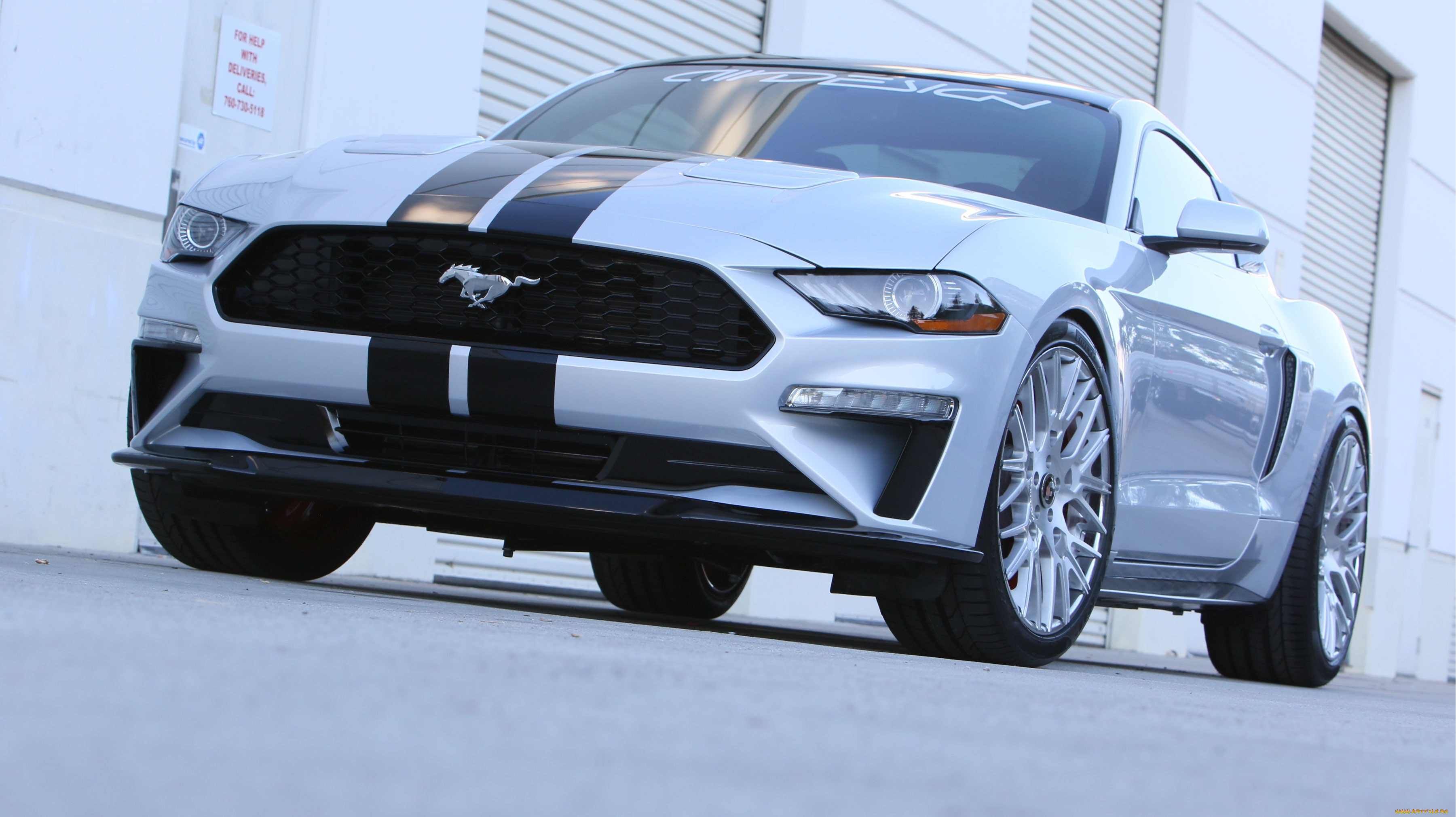 , mustang